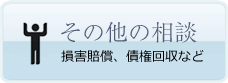 その他の相談　損賠賠償、債権回収など